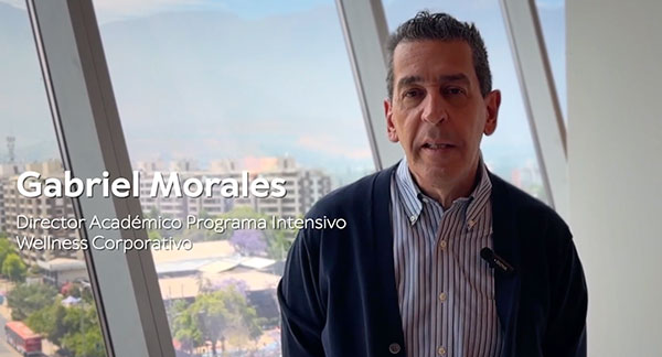 wellness-corporativo